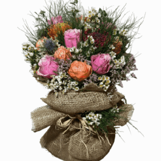 Wild Roses